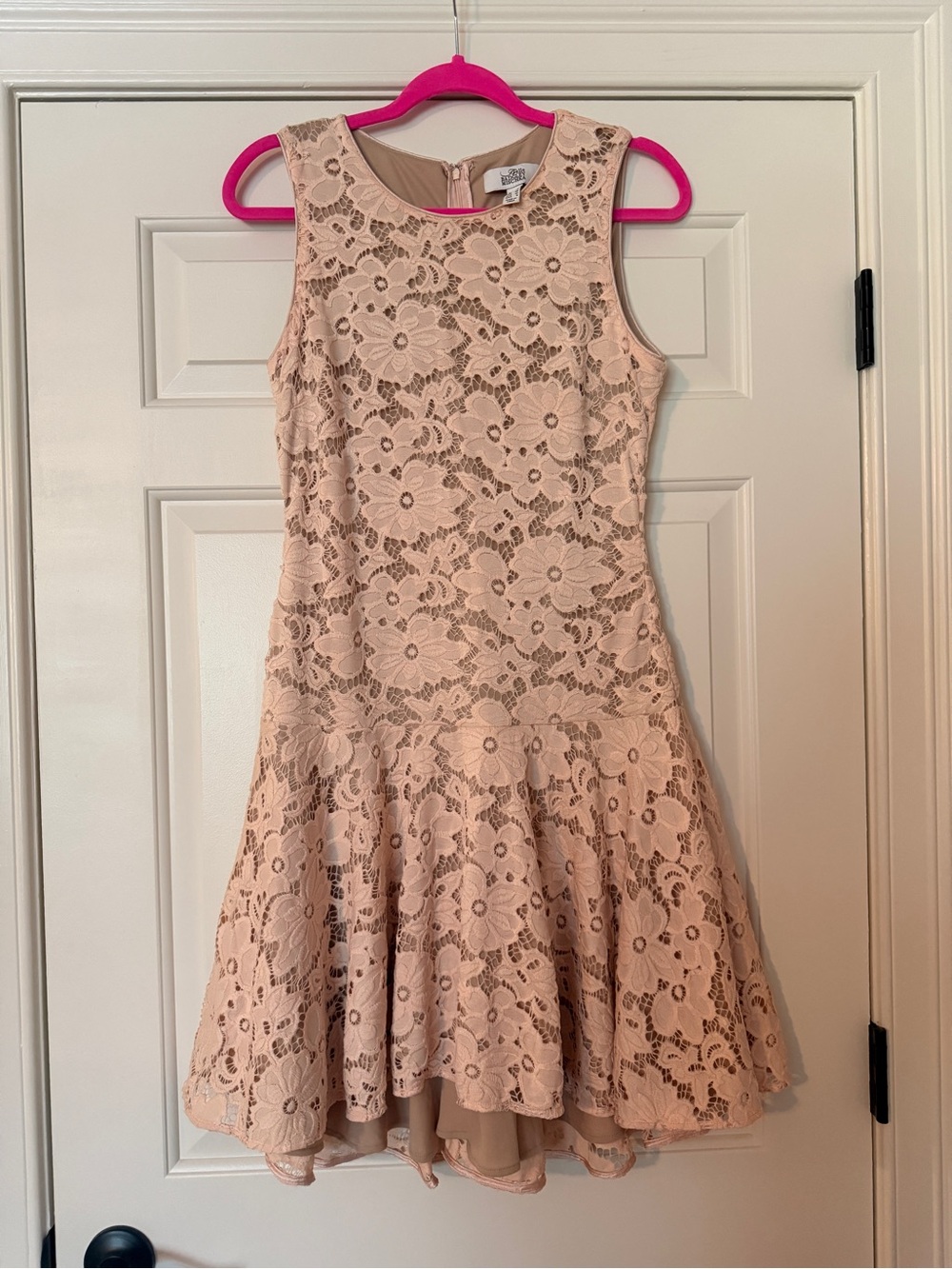 Badgley Mischka Blush Floral Lace Fit-and-Flare Mini Dress